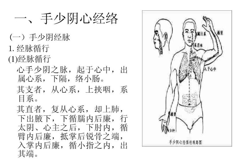 手少阴心经的主要穴位以及作用主治有哪些呢?